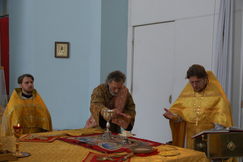 SONY DSC