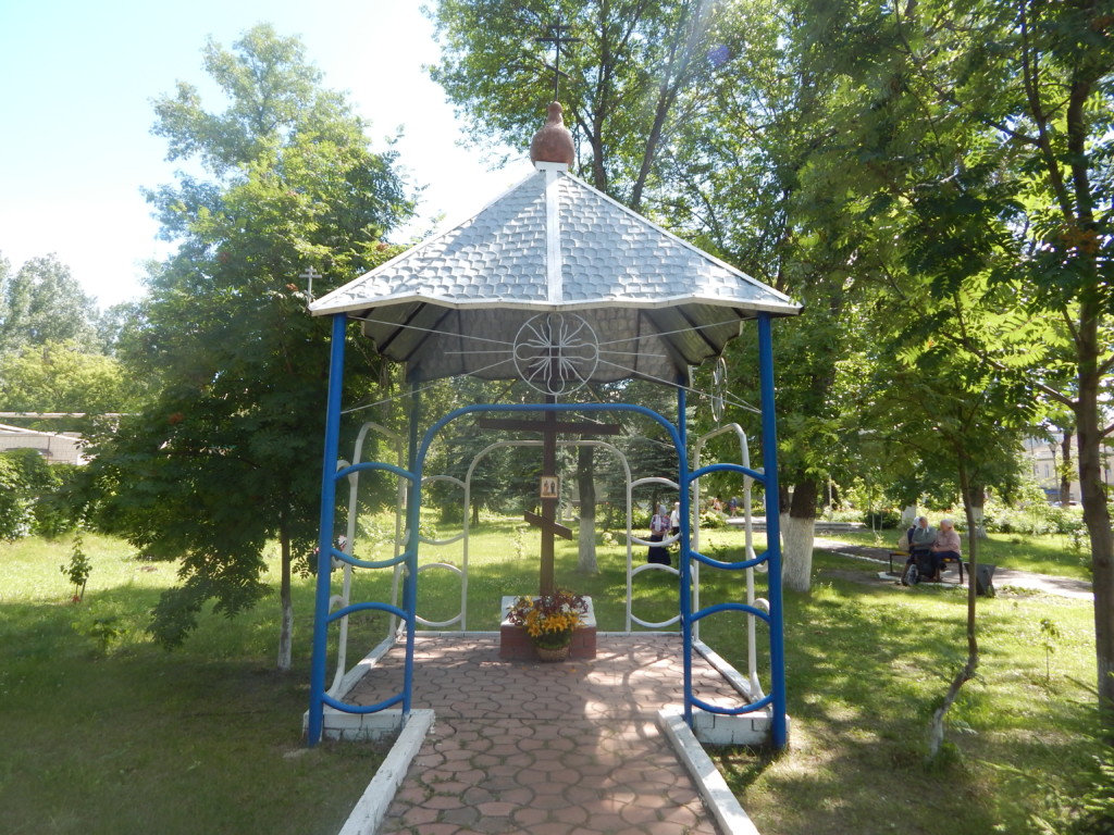 DSCN5381